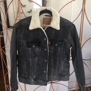 NWOT never worn Levi’s shearling trucker jacket